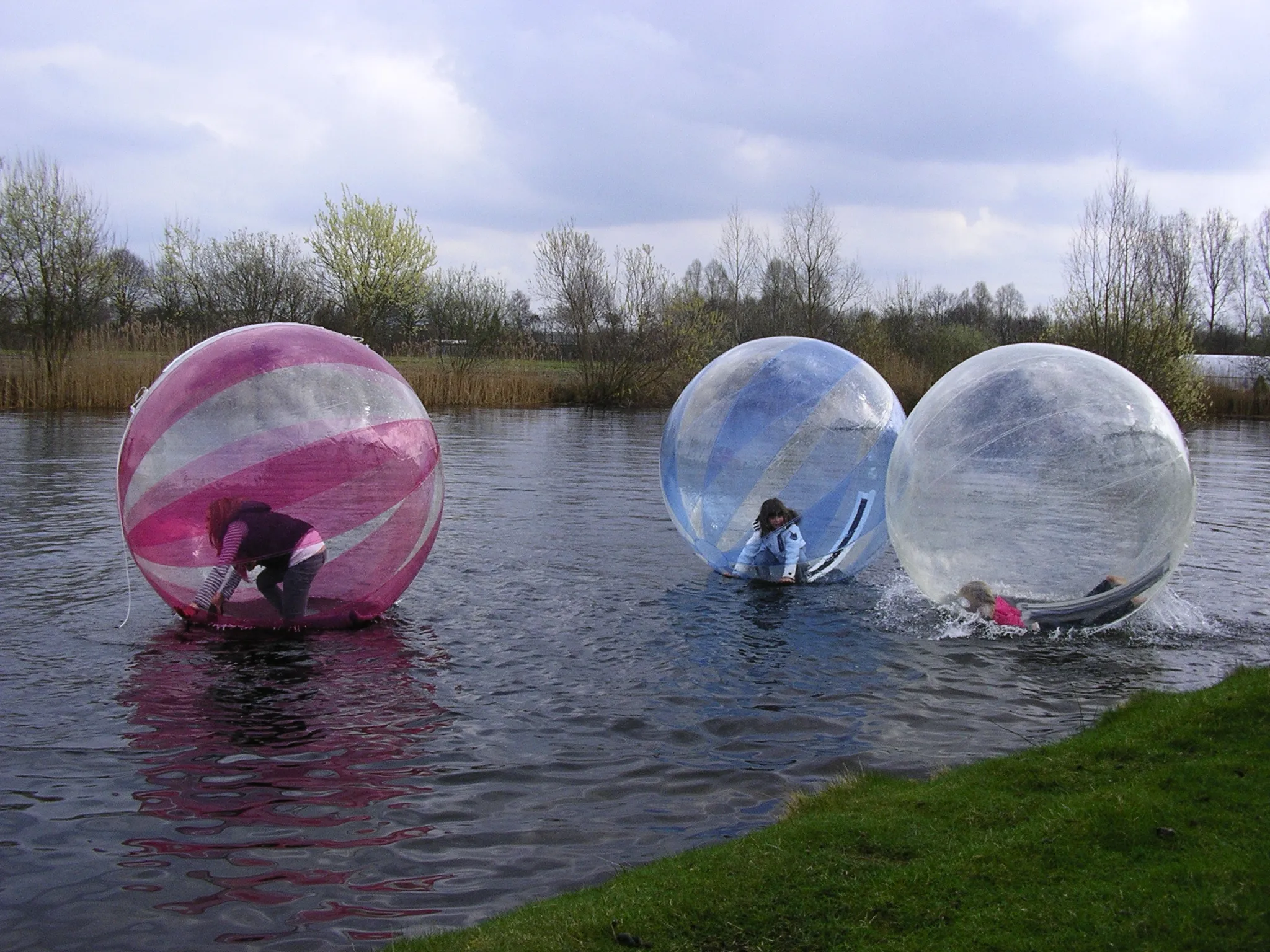 waterbal met bassin 6 stuks 3_1704374649.jpg