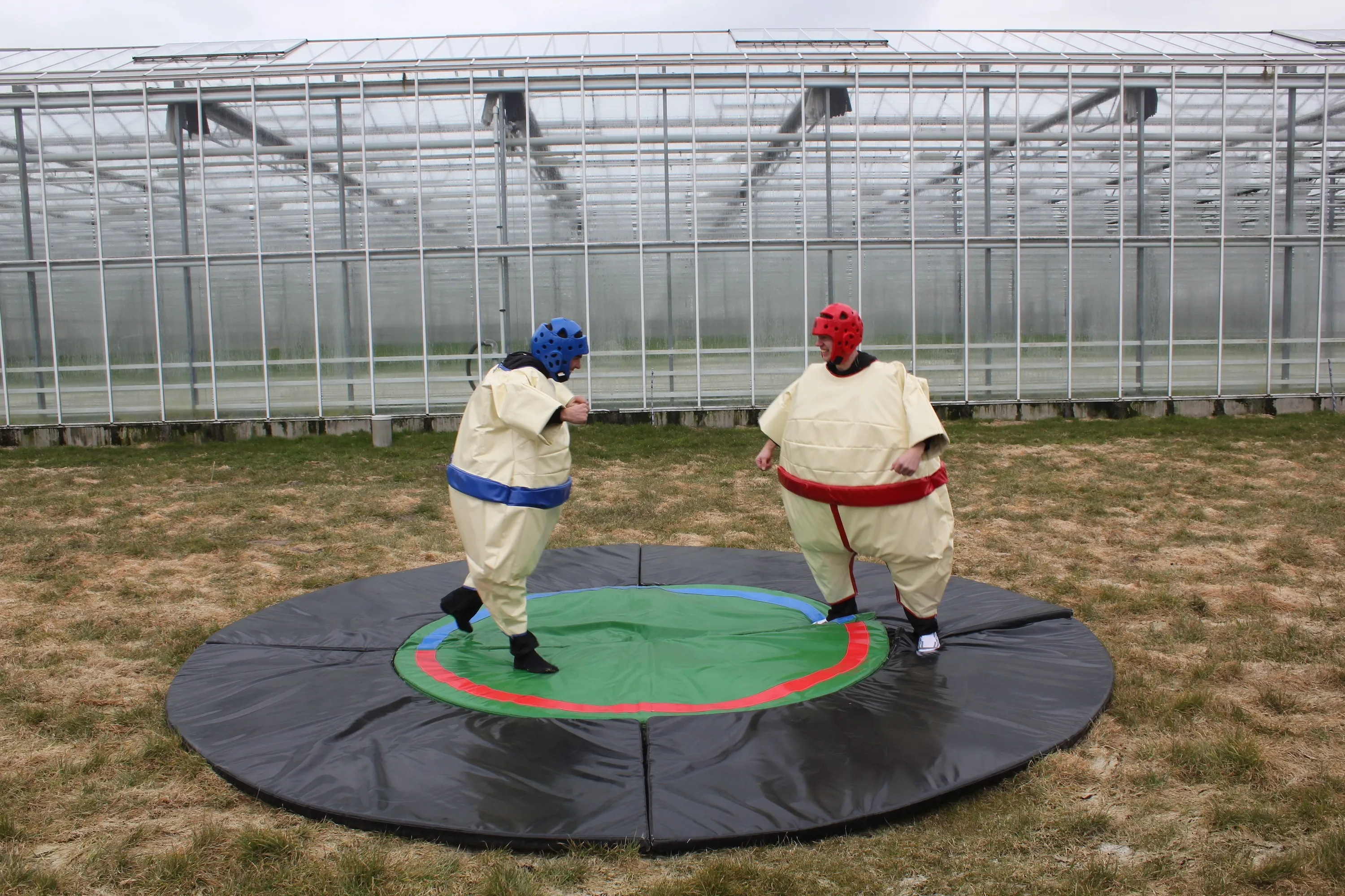 sumo1_1704273148.jpg
