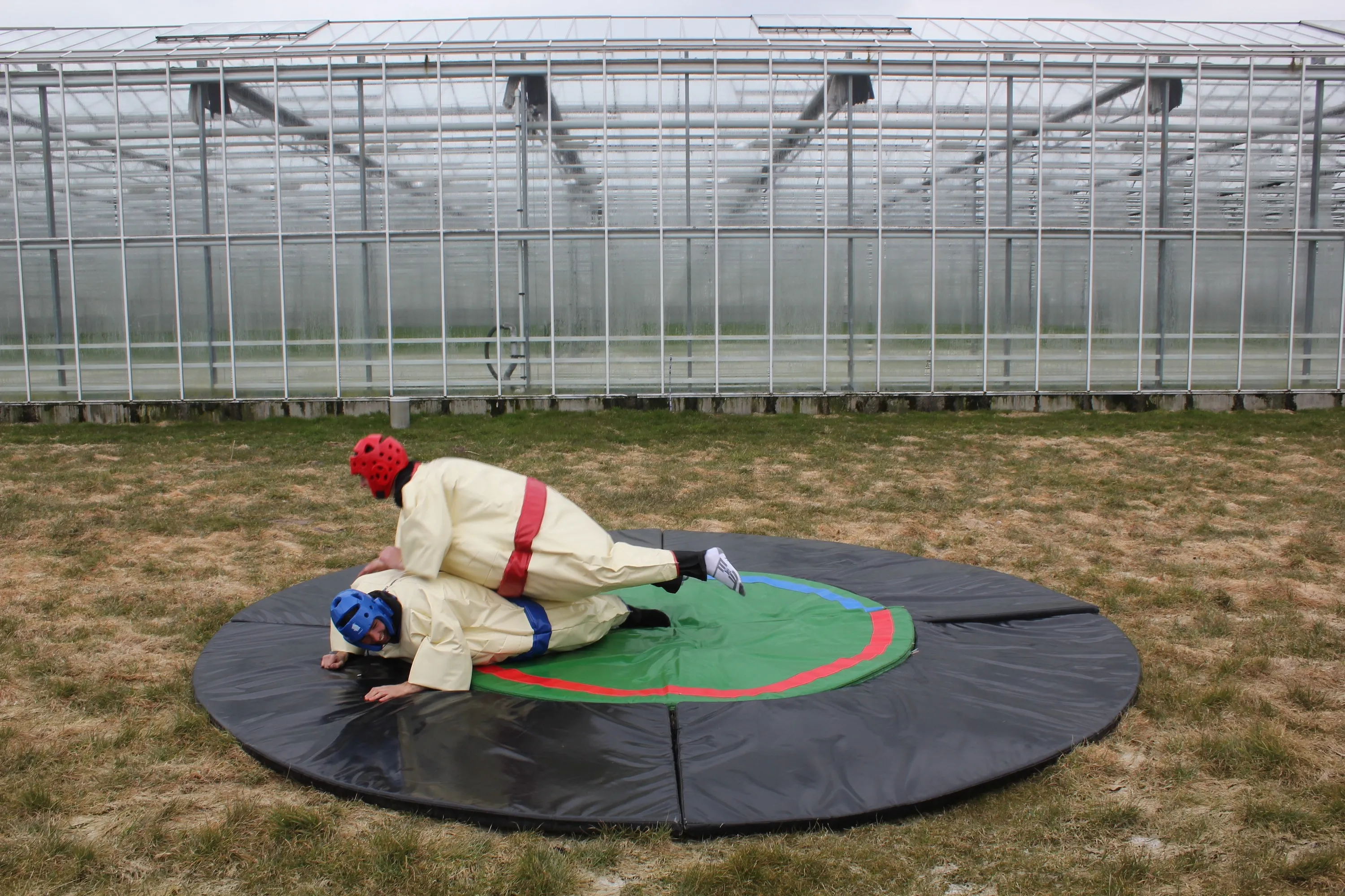 sumo3_1704273149.jpg