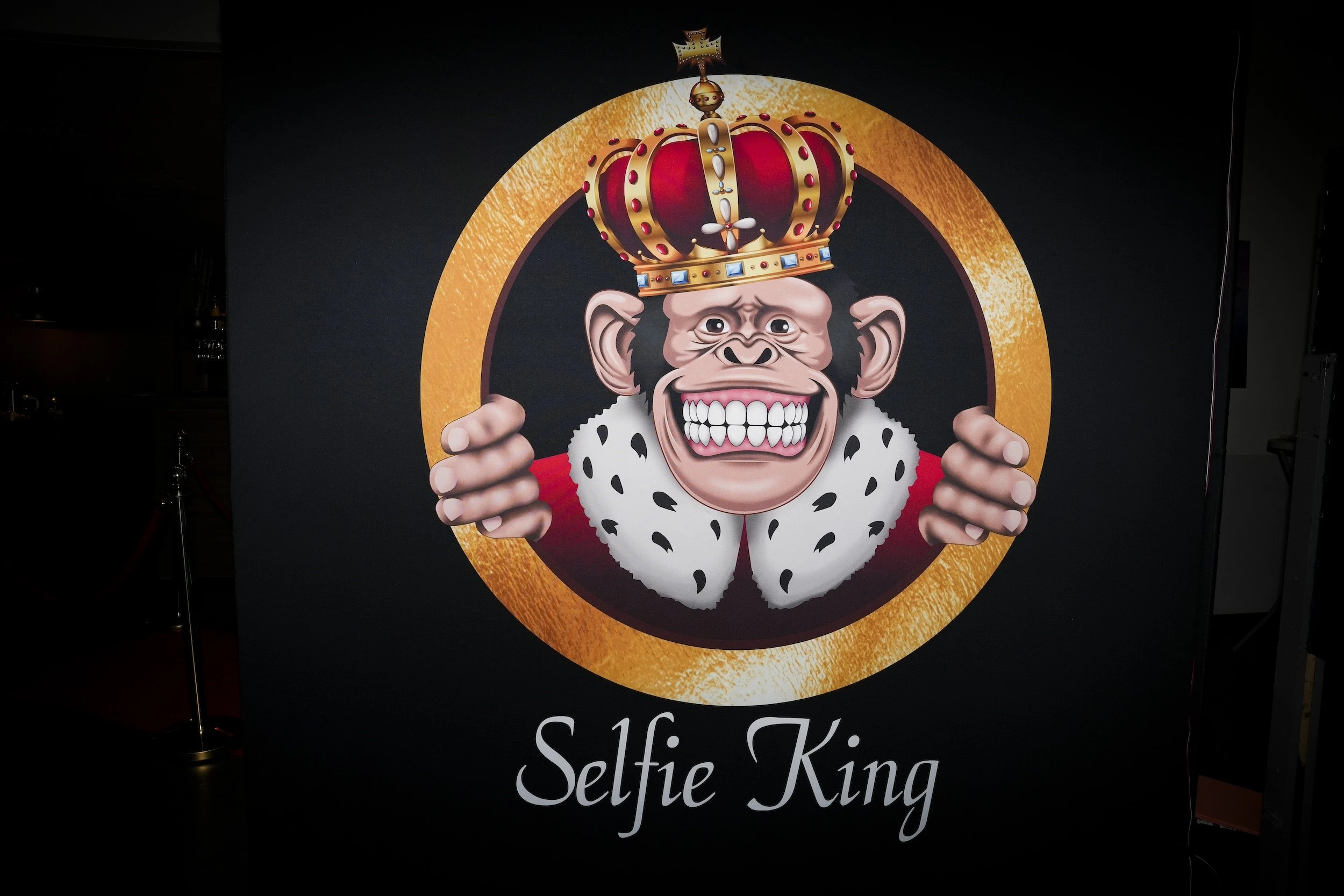 Selfie Light King