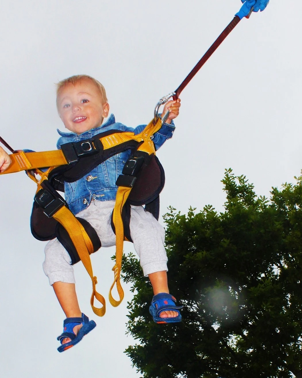 Bungee Trampoline