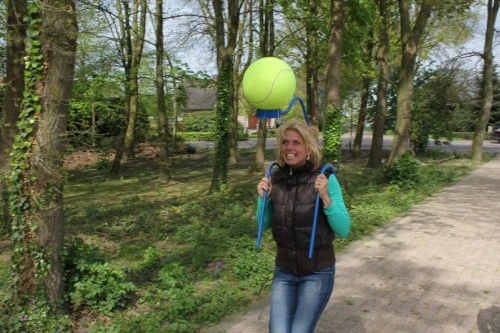 Toren_Ballopen2_1704208332.jpg