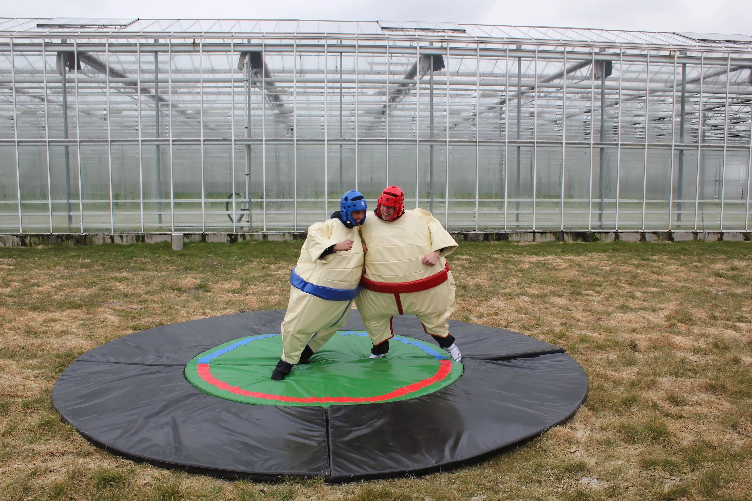 sumo2_1704273146.jpg
